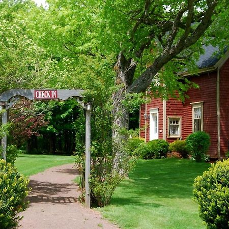 Bugaboo Cottages Summerside Exteriér fotografie