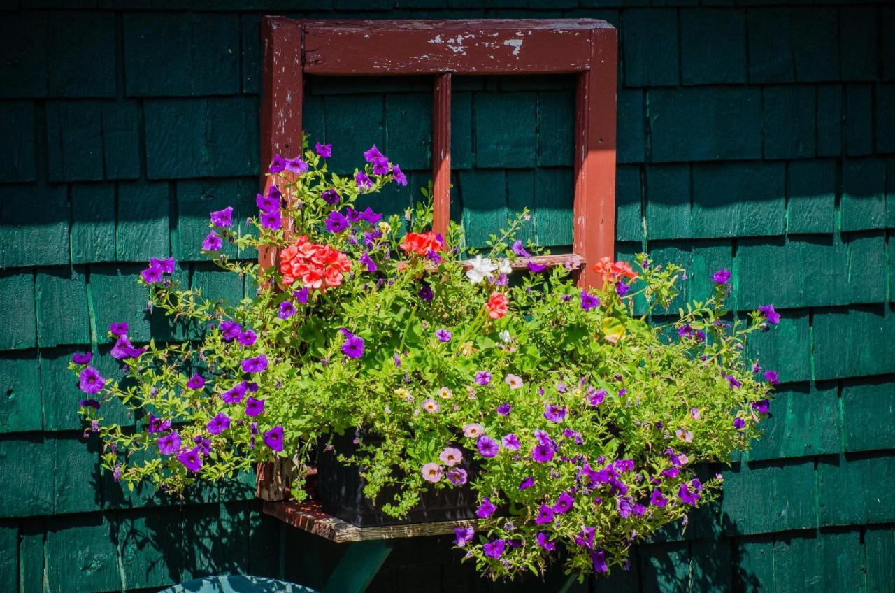 Bugaboo Cottages Summerside Exteriér fotografie